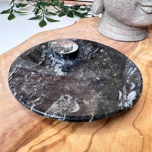 Genuine Orthoceras Fossil - Fossil Oval Ammonite Trinket dish from Morocco